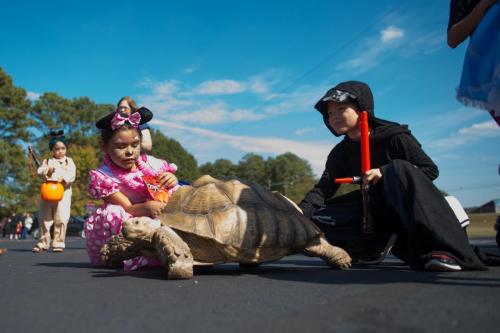 2016 Fall Festival-59